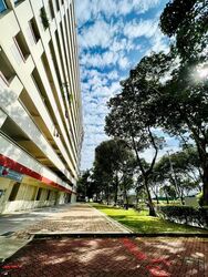 Blk 876 Woodlands Avenue 9 (Woodlands), HDB 5 Rooms #631980381